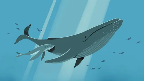 Walmutter und Walbaby schwimmen unter Wasser mit Fischen, von Drew Bardana