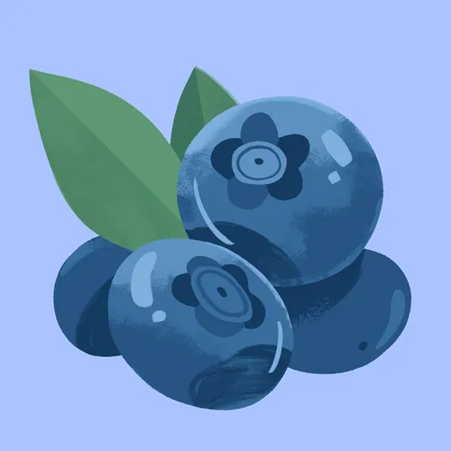 Illustration of blueberries with green leaves on blue background by Drew Bardana