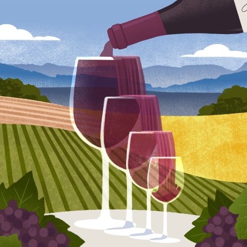 Wine pouring into four glasses with vineyard landscape, by Drew Bardana