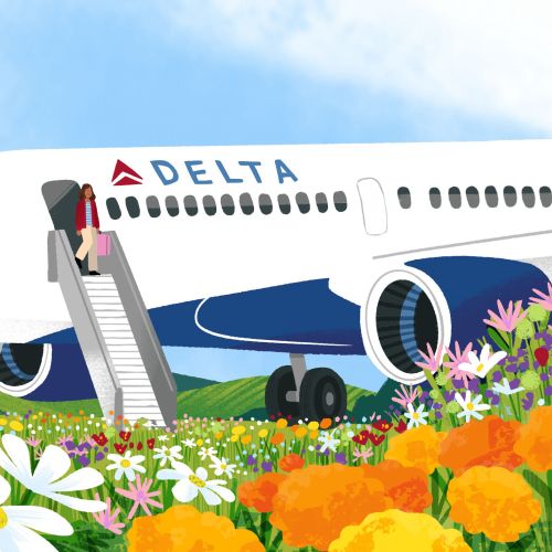 Delta airplane landing in a colorful South American wildflower field