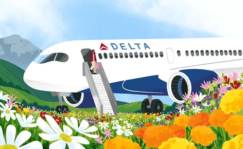 Delta-Flugzeug landet in einem farbenprächtigen südamerikanischen Wildblumenfeld