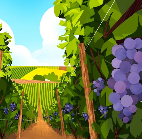 Weinbergreihen mit violetten Trauben und strahlend blauem Himmel von Drew Bardana
