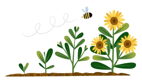 Bee flying near growing sunflower plants in soil