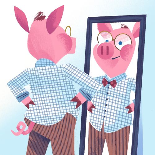 Illustration of pig admiring gingham shirt in mirror by Drew Bardana