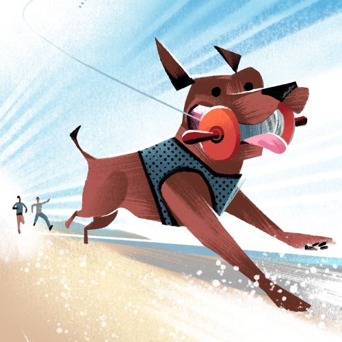 Playful dog joyfully flying a kite on the beach by Drew Bardana