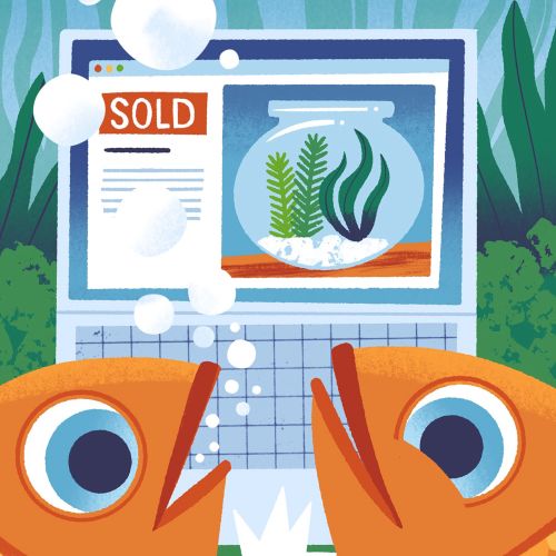 Two orange fish look at computer showing a sold home and fishbowl by Drew Bardana