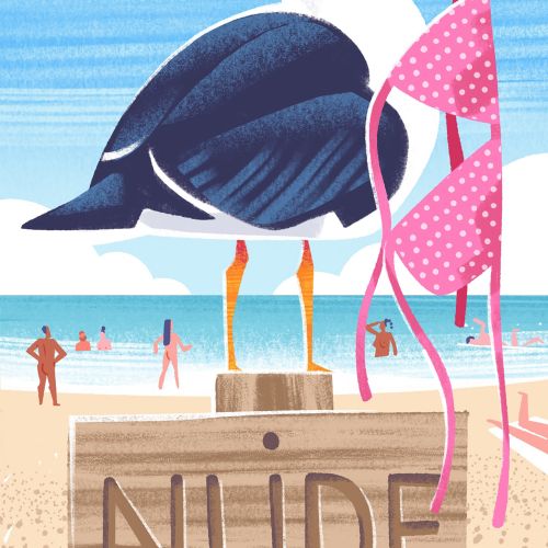 Seagull holding pink polka dot bikini on a sunny beach by Drew Bardana