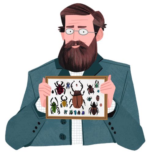 Man with glasses holding framed insect collection illustration by Drew Bardana
