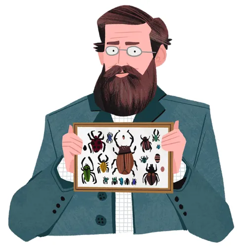 Mann mit Brille hält gerahmte Insektensammlung – Illustration von Drew Bardana