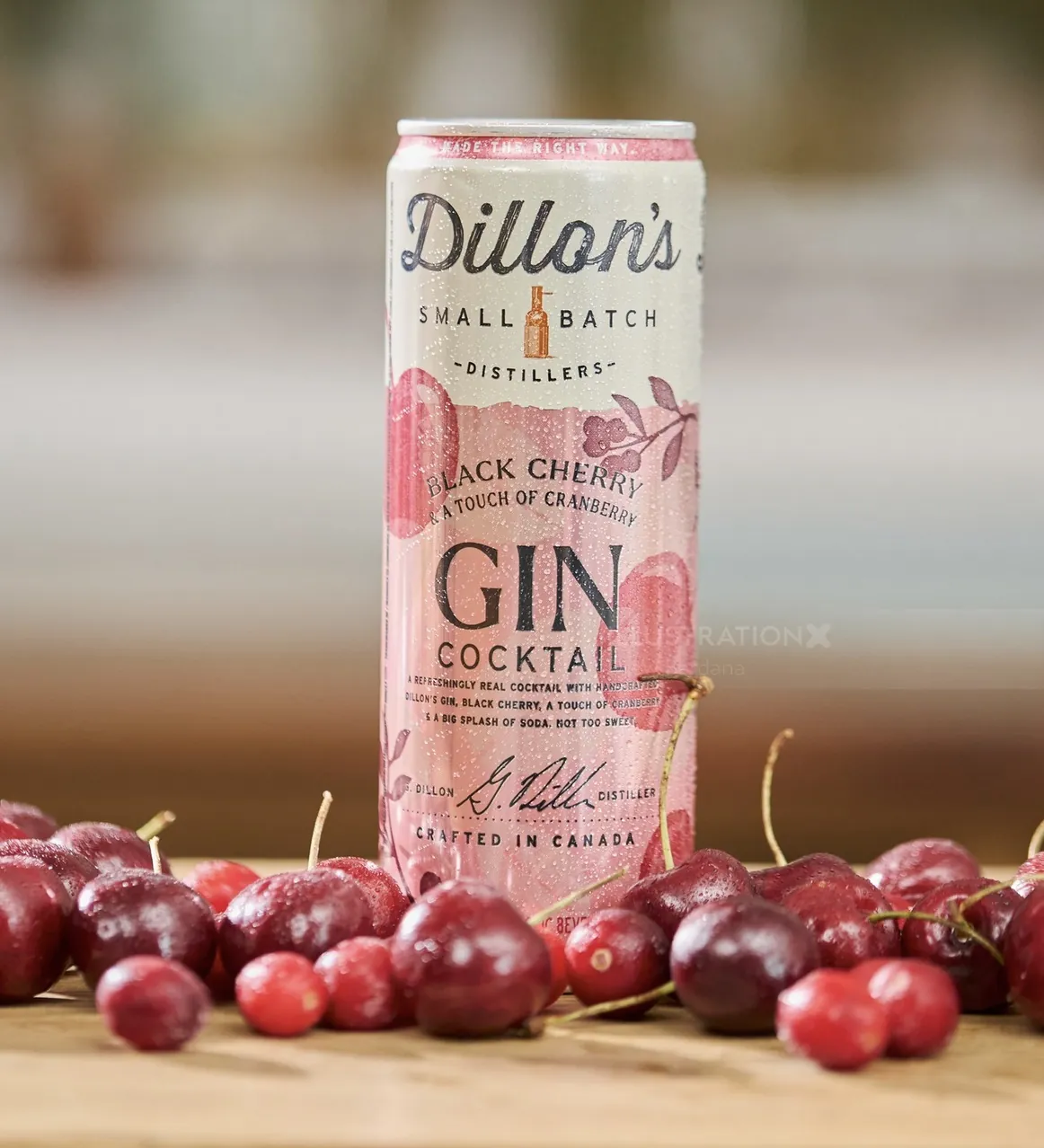 Dillon's Black Cherry Gin Cocktail can with cherries, artwork by Drew Bardana