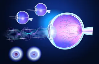 Illustration of human eye anatomy with light refraction by Eberhard Reimann