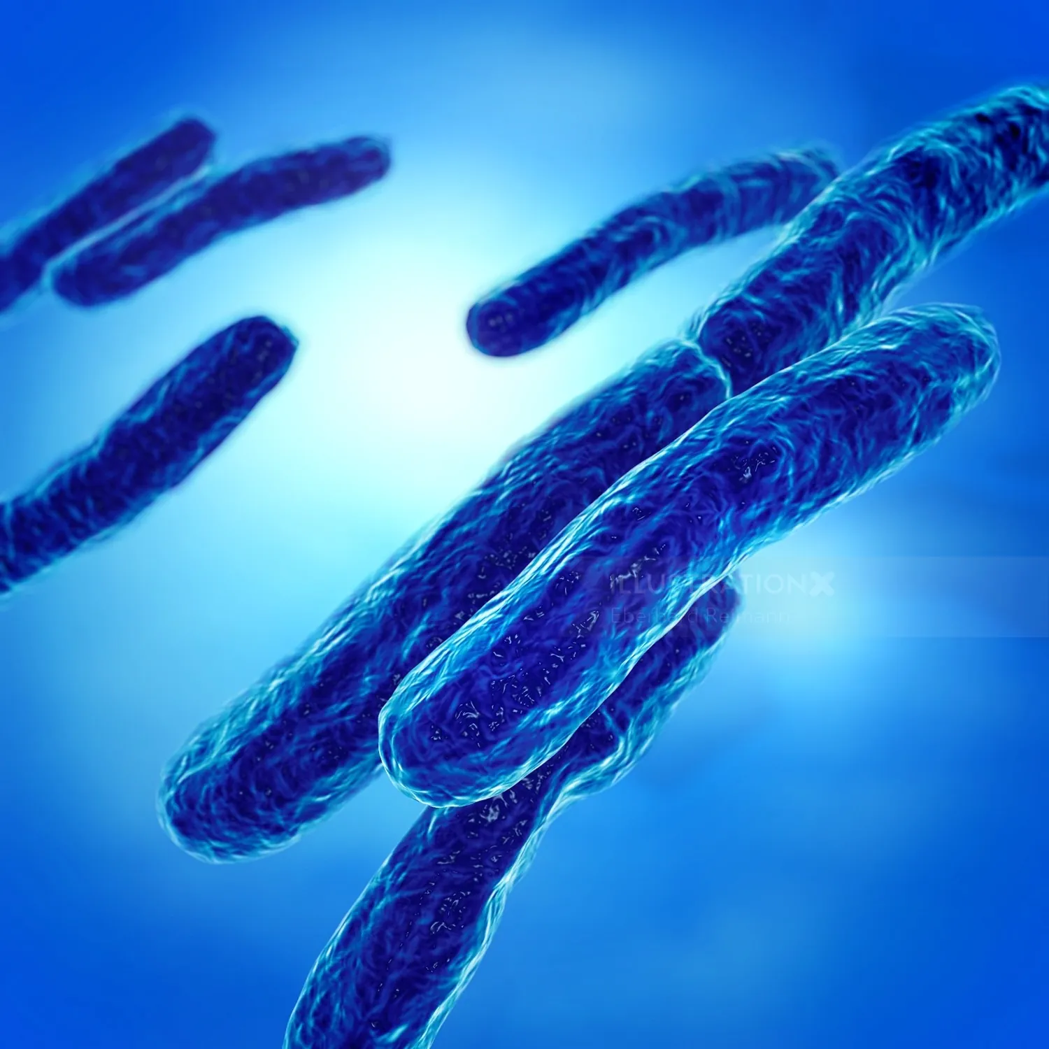 3D illustration of blue bacteria cells by Eberhard Reimann