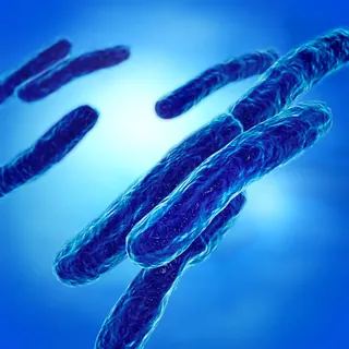 3D illustration of blue bacteria cells by Eberhard Reimann