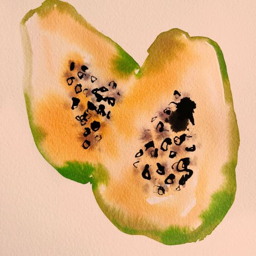 Whimsical watercolor of a papaya