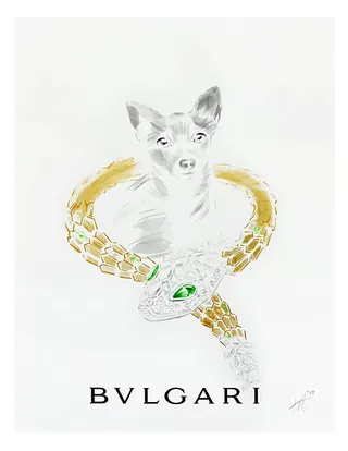 Illustration of a small dog with a gold serpent bracelet and green gem
