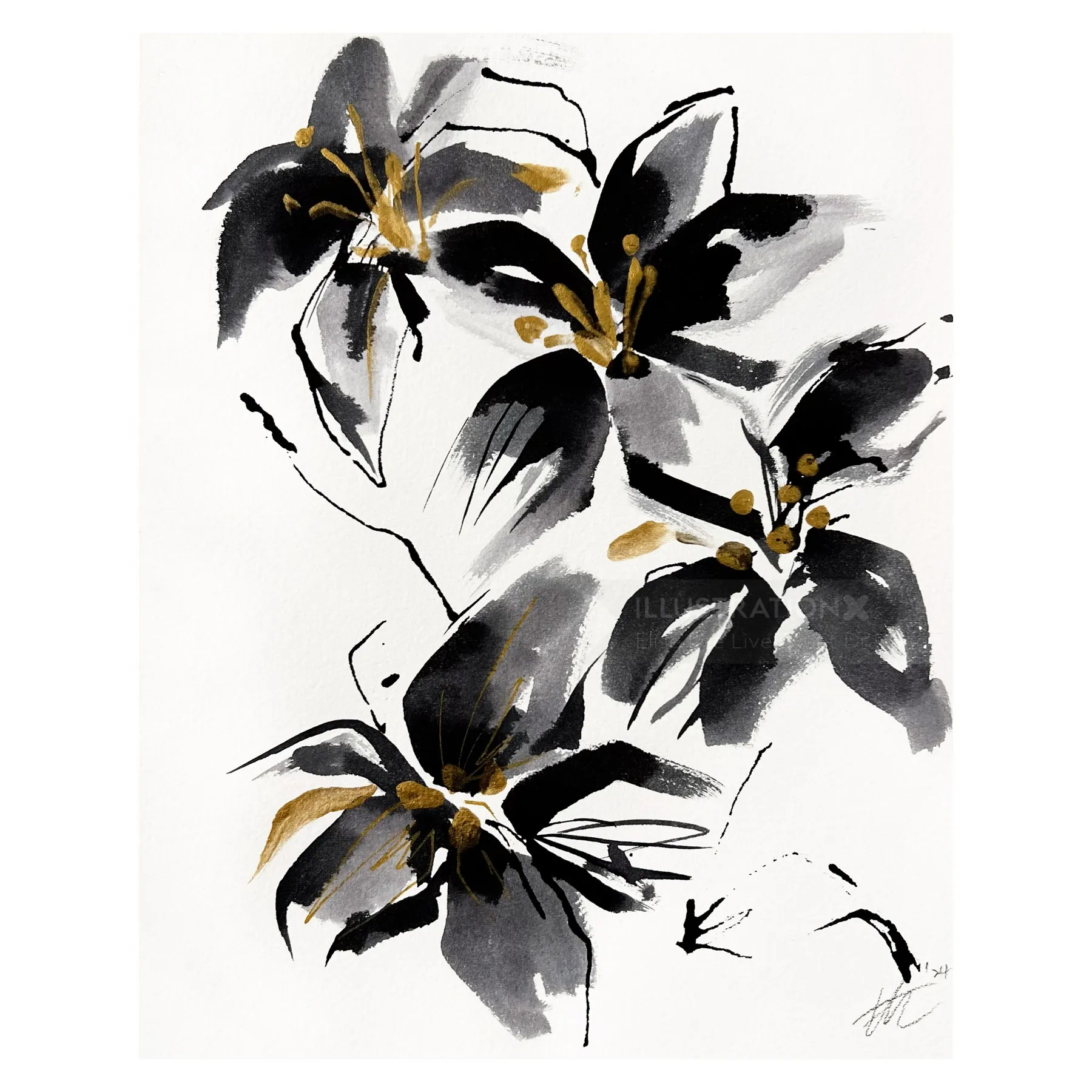 Black and gold watercolor flowers on white background