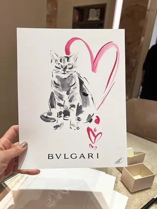 Black and white cat illustration with pink heart and BVLGARI text