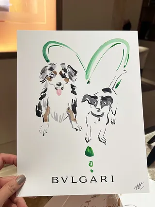 Watercolor artwork of two dogs with green strokes and Bvlgari text