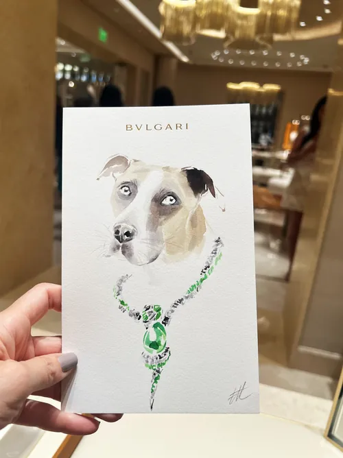 Illustration of dog wearing BVLGARI necklace by Elise Lee