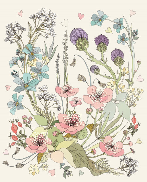 Illustration of Botanical plants