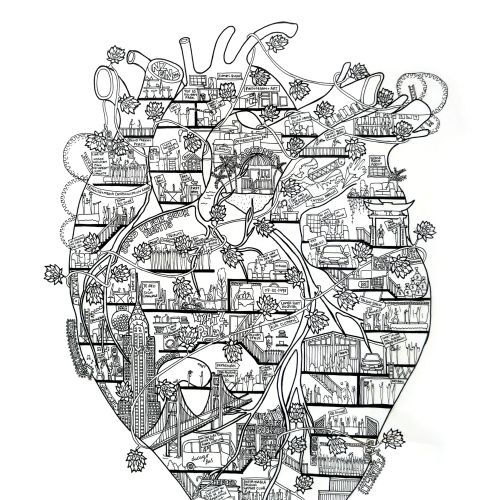 Ellie Compton Medical Illustrator from New Zealand