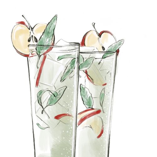 Illustration of fruit-infused water with mint leaves by Elly Azizian