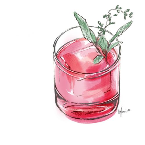 Glass with pink herbal drink and green garnish by Elly Azizian