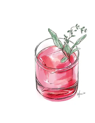 Glass with pink herbal drink and green garnish by Elly Azizian