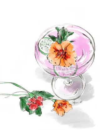 Watercolor illustration of pink cocktail with orange flower and lime garnish