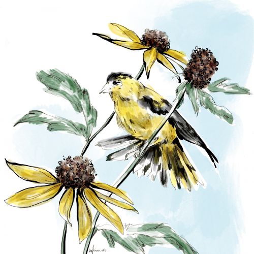 Elly Azizian Animals Illustrator from United States