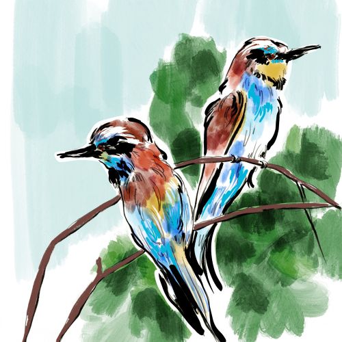 Two colorful birds sitting on branches with green leaves background.