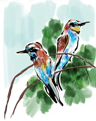 Two colorful birds sitting on branches with green leaves background.