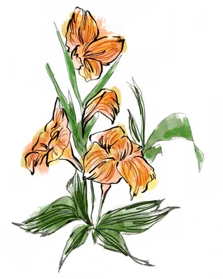 Orange watercolor flowers with green leaves on white background