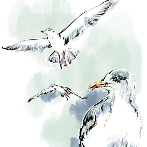 Watercolor seagulls flying and standing with soft blue-green background