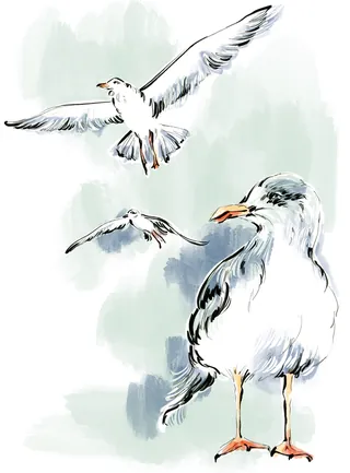 Watercolor seagulls flying and standing with soft blue-green background
