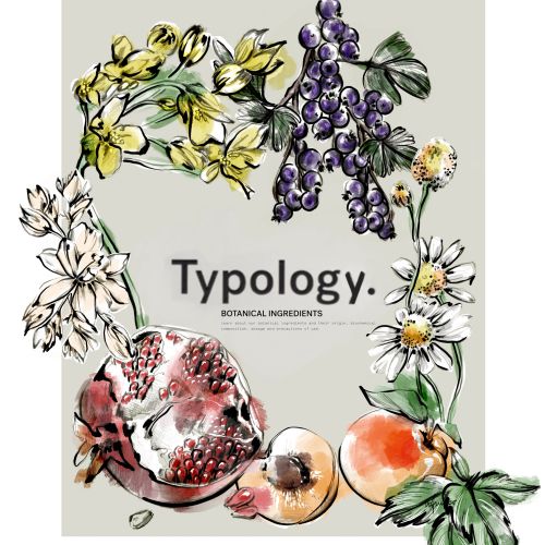 Elly Azizian Decorative Illustrator from United States