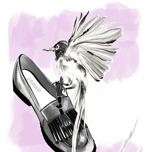Illustration of a bird sitting on a black loafer shoe by Elly Azizian