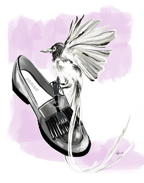 Illustration of a bird sitting on a black loafer shoe by Elly Azizian