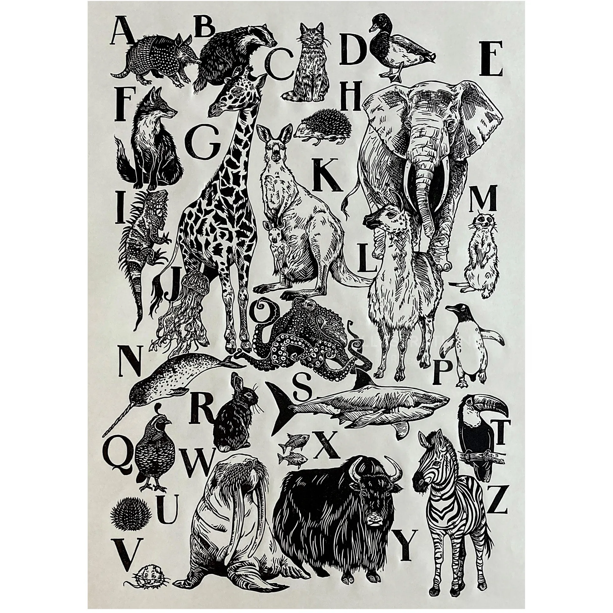 Alphabet chart with animals and letters by Emily Robertson