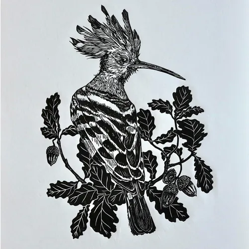 Lino cut of hoopoe bird perched on oak branch, artwork by Emily Robertson