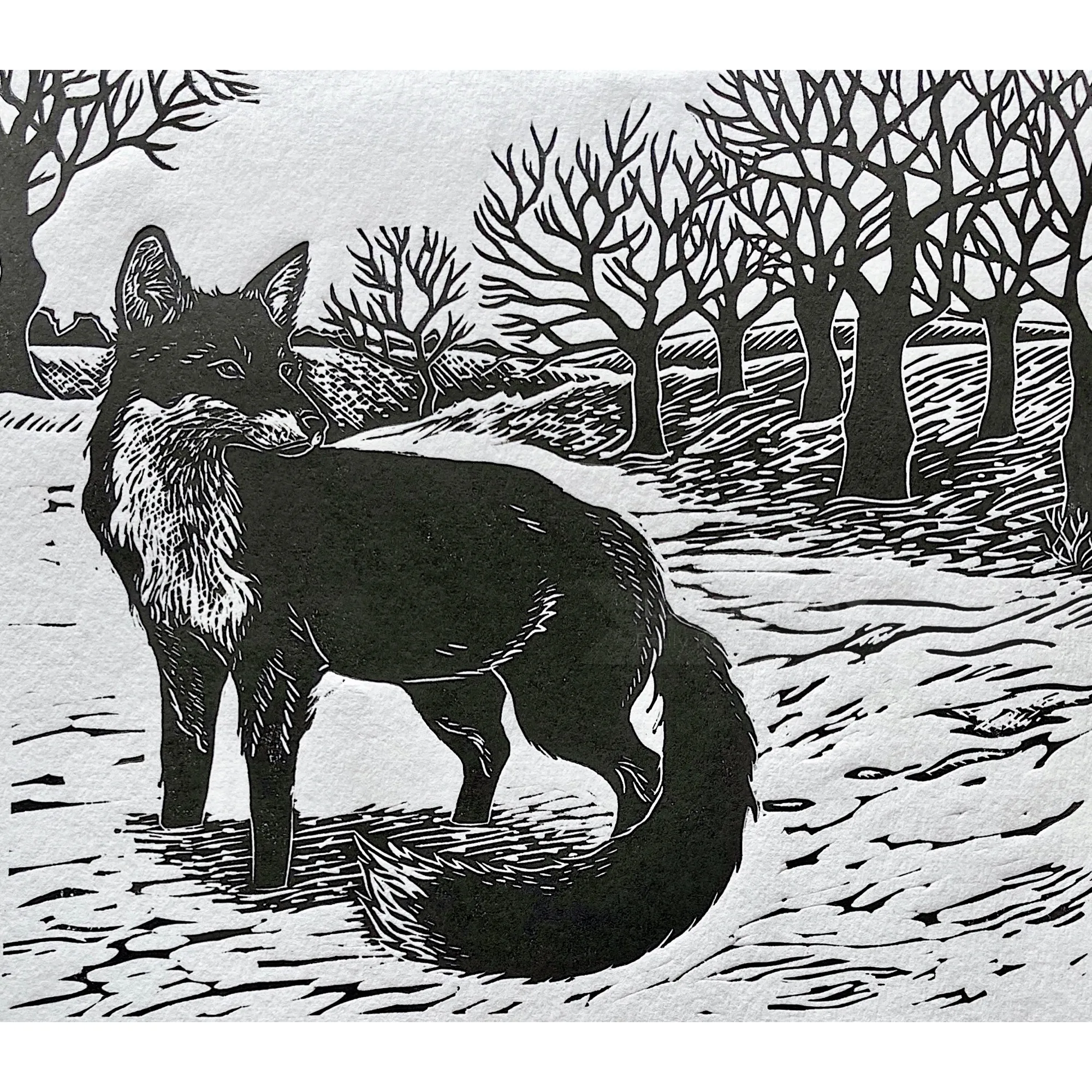 Lino print of a black fox in a snowy landscape by Emily Robertson