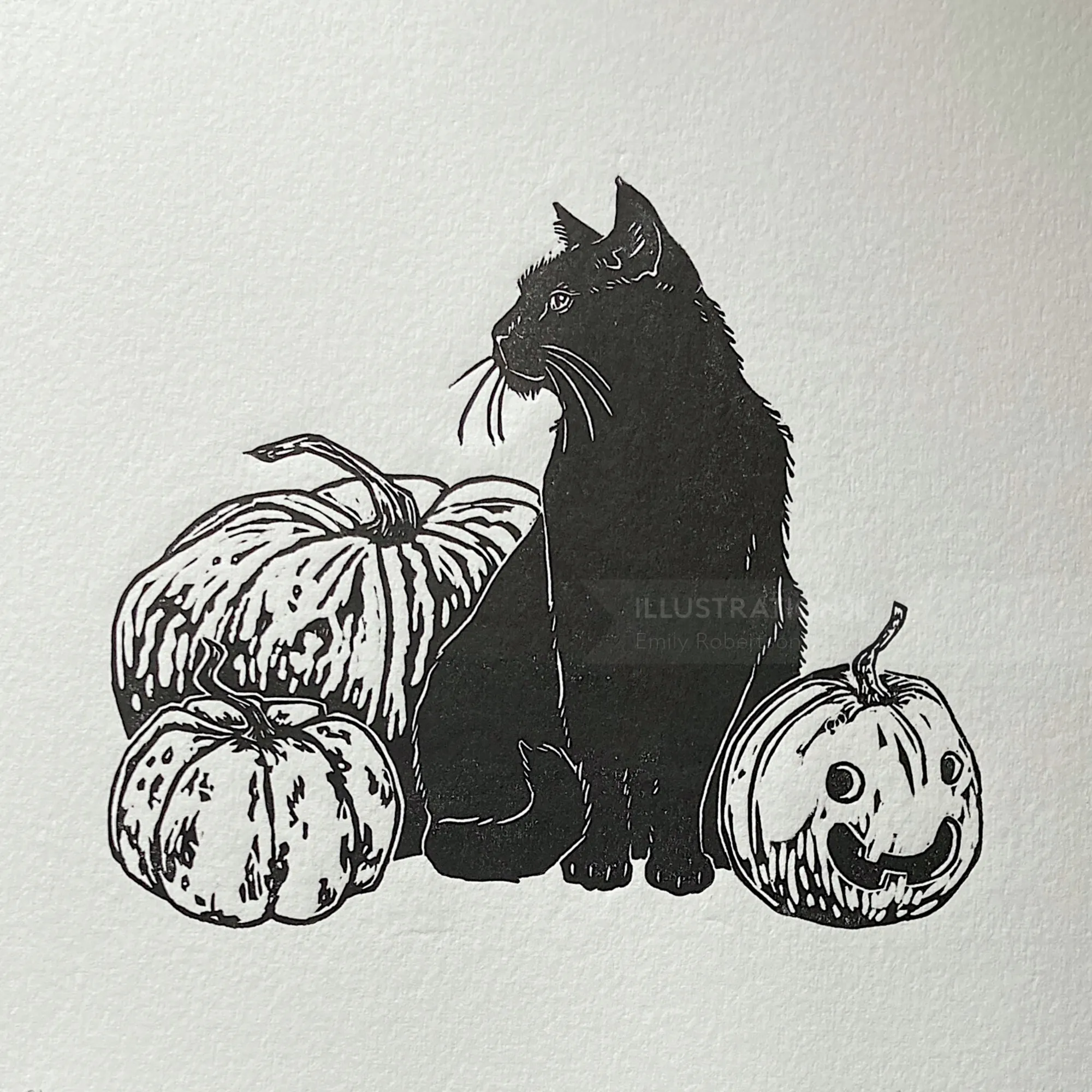 Halloween illustration of black cat with pumpkins by Emily Robertson