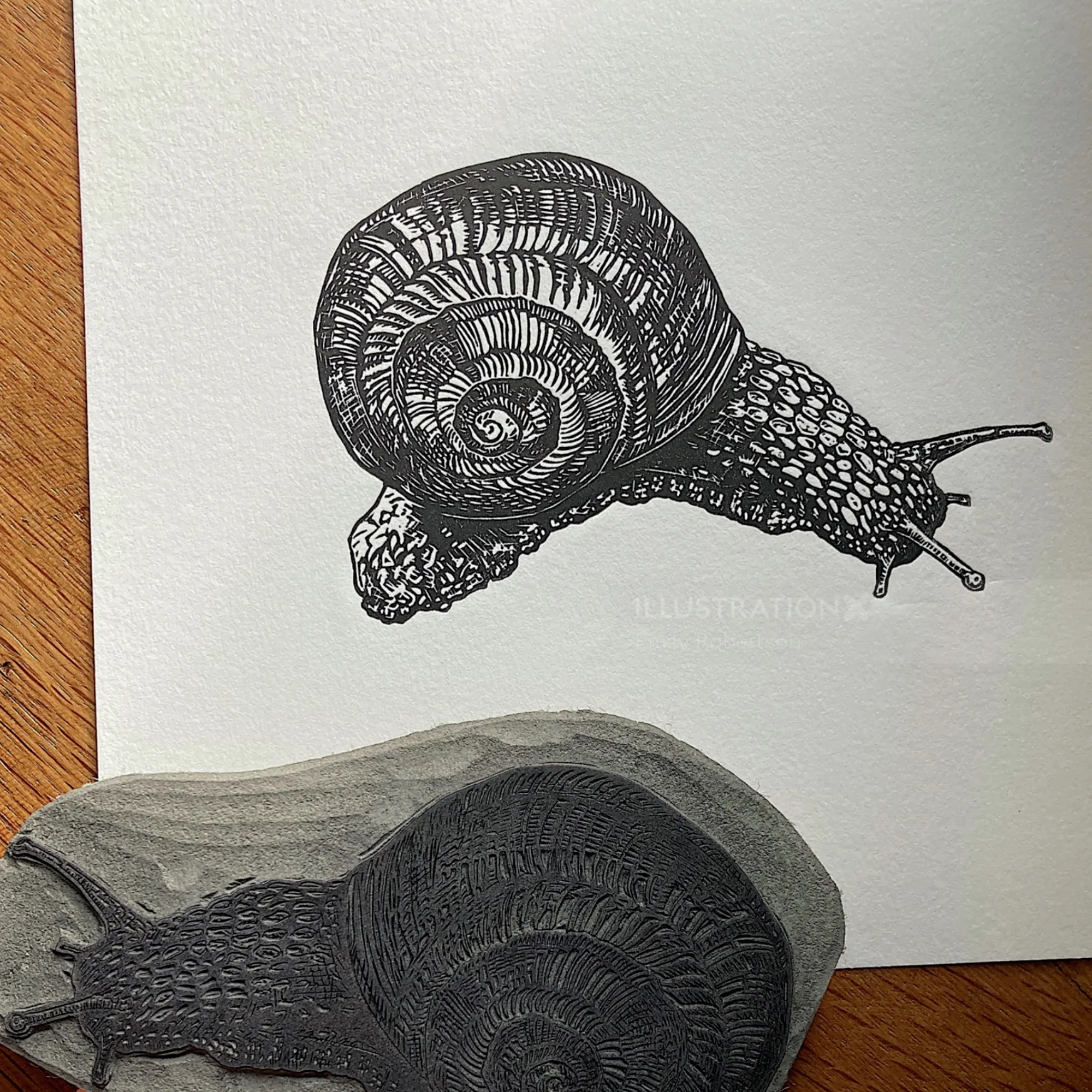 Snail lino cut print and lino block by Emily Robertson