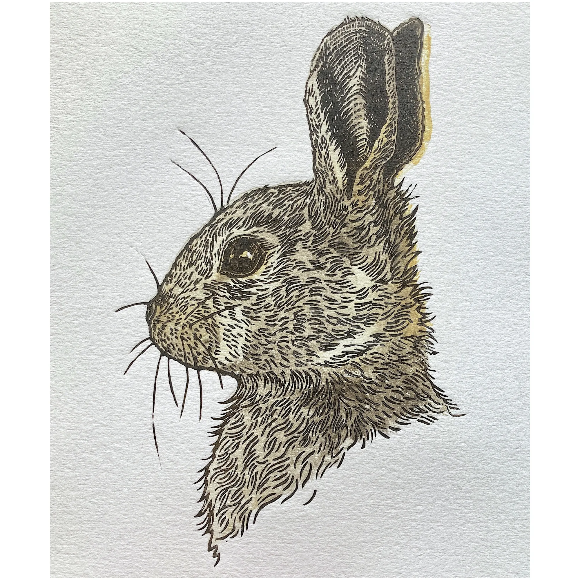 Lino cut rabbit portrait by Emily Robertson
