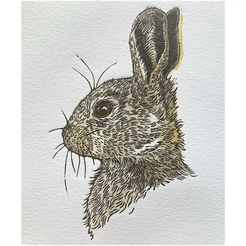 Lino cut rabbit portrait by Emily Robertson