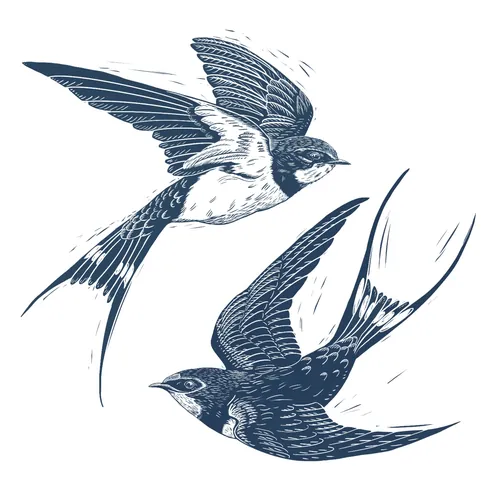 Digital lino cut style drawing of two swallow birds in flight by Emily Robertson