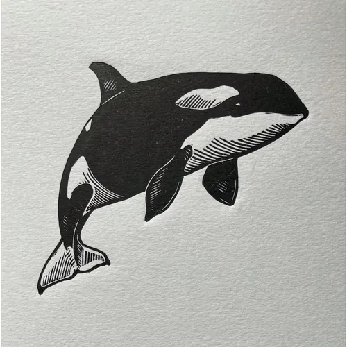 Black and white orca whale lino cut by Emily Robertson