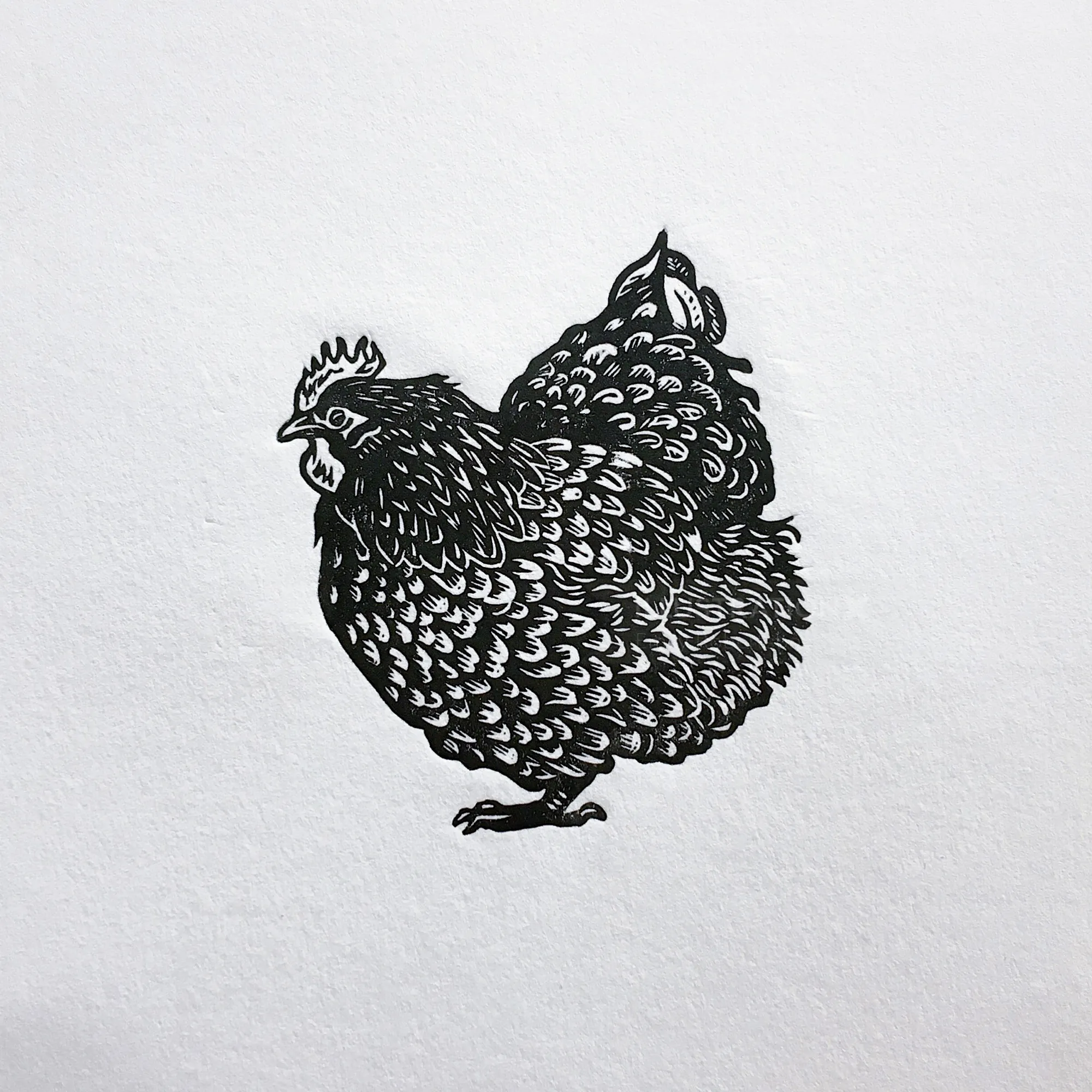 Playful fluffy chicken lino cut illustration