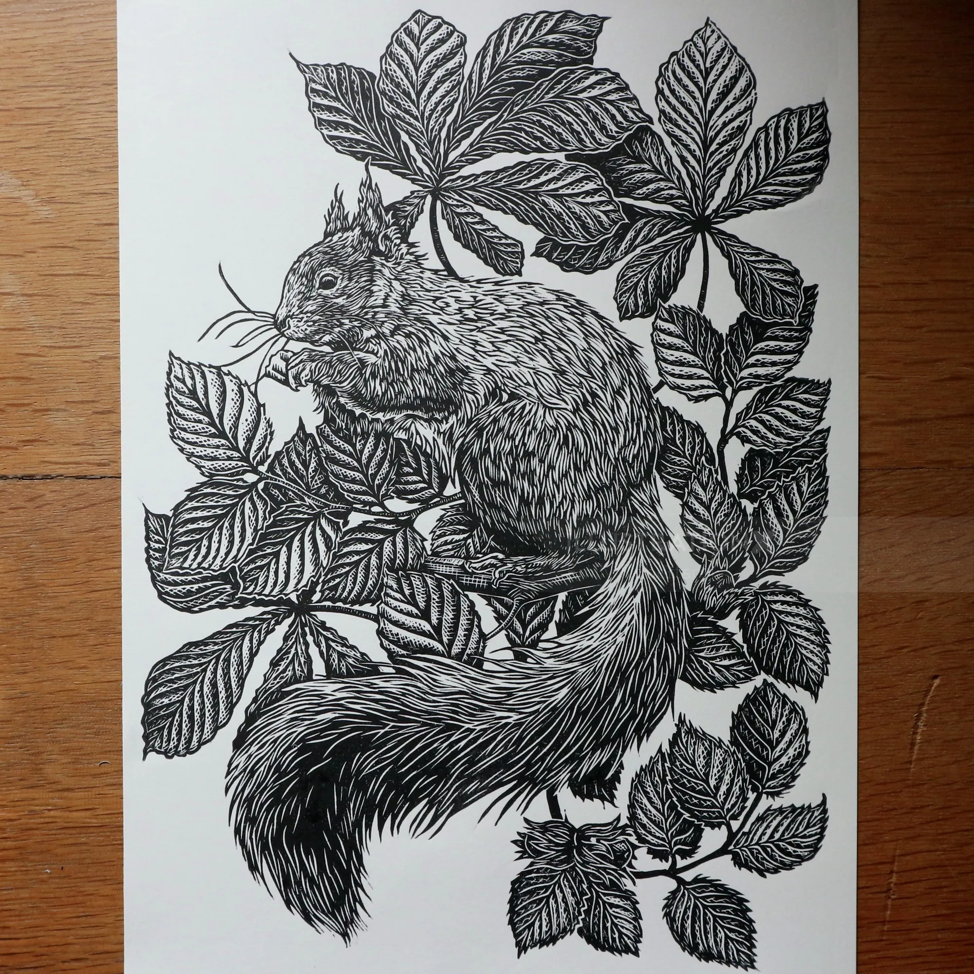 Lino cut of squirrel on hazel and chestnut branches by Emily Robertson