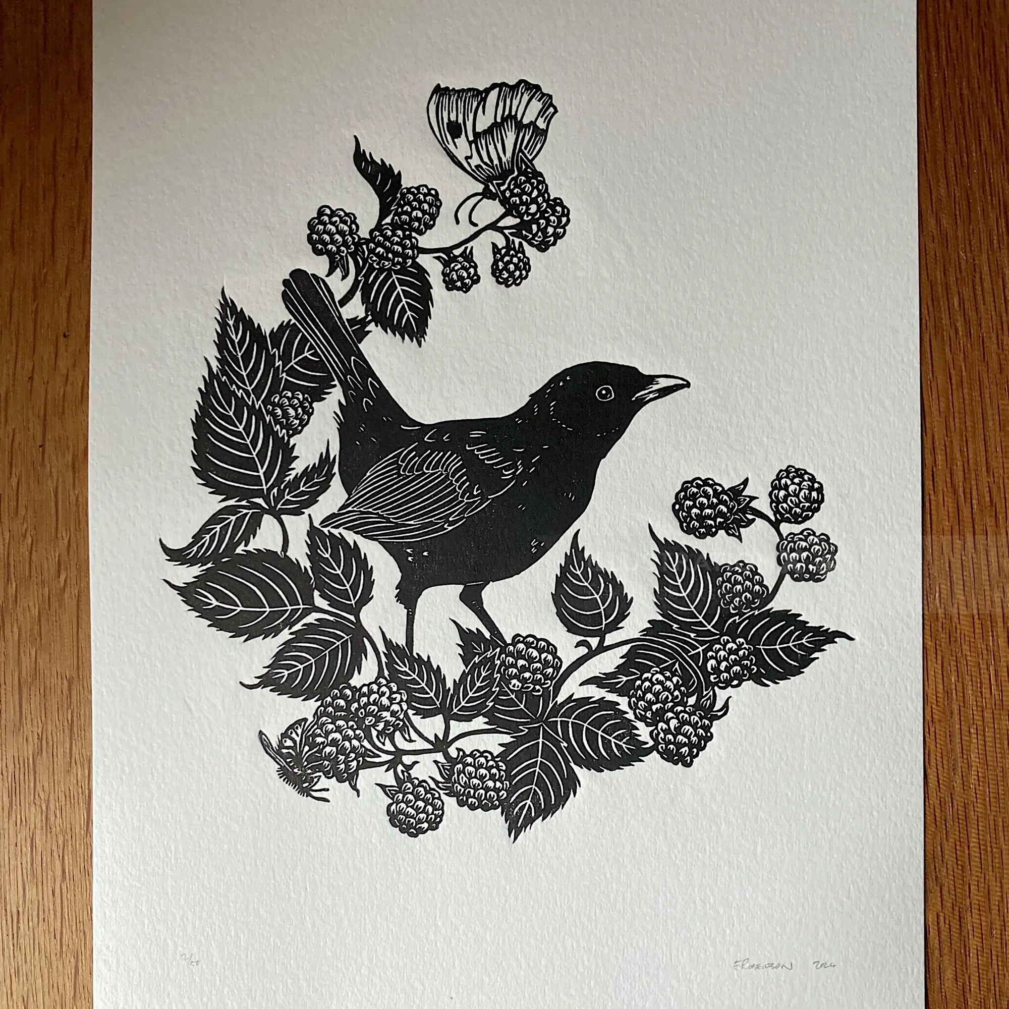Lino cut of a blackbird perched on blackberry brambles by Emily Robertson